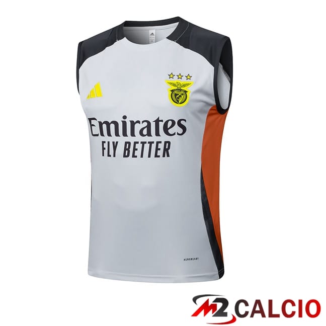 Maglie Calcio Personalizzate,Tute Calcio Squadre,Maglia Nazionale Italiana Calcio | Canotta Allenamento S.L Benfica Grigio 2025/2026