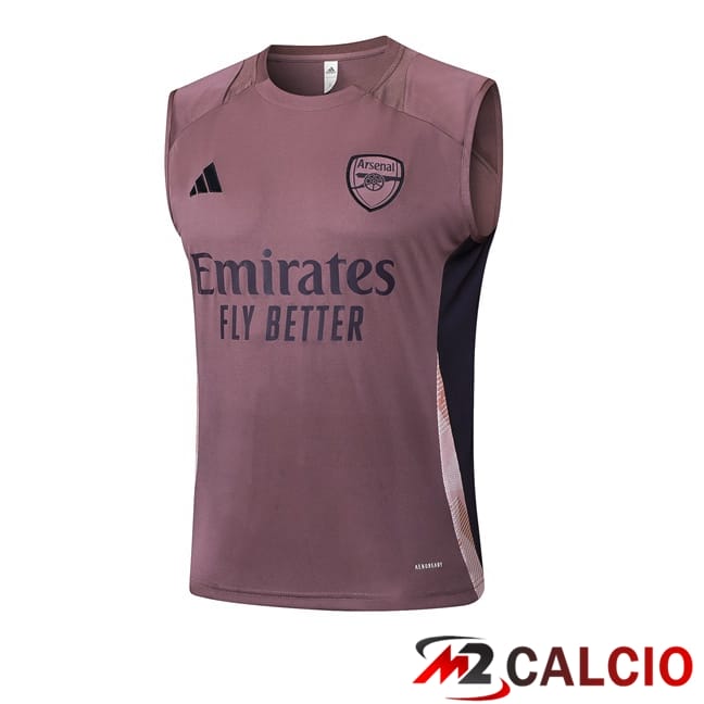 Maglie Calcio Personalizzate,Tute Calcio Squadre,Maglia Nazionale Italiana Calcio | Canotta Allenamento Arsenal Viola 2025/2026