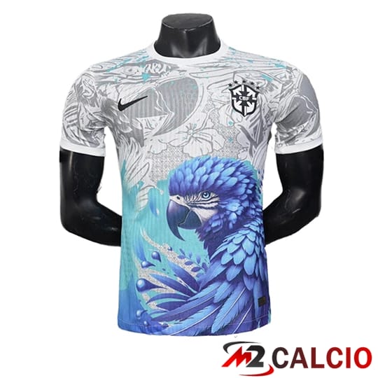 Maglie Calcio Personalizzate,Tute Calcio Squadre,Maglia Nazionale Italiana Calcio | Maglie Calcio Brasile Edizione Speciale Grigio/Blu 2025/2026