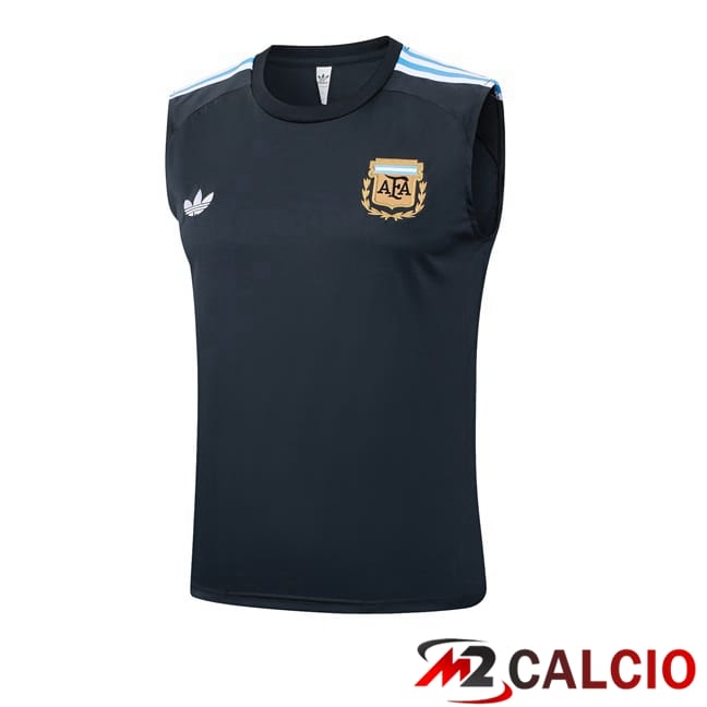 Maglie Calcio Personalizzate,Tute Calcio Squadre,Maglia Nazionale Italiana Calcio | Canotta Allenamento Argentina Blu Reale 2025/2026