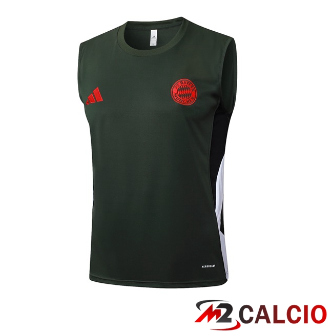 Maglie Calcio Personalizzate,Tute Calcio Squadre,Maglia Nazionale Italiana Calcio | Canotta Allenamento Bayern Monaco Verde 2025/2026