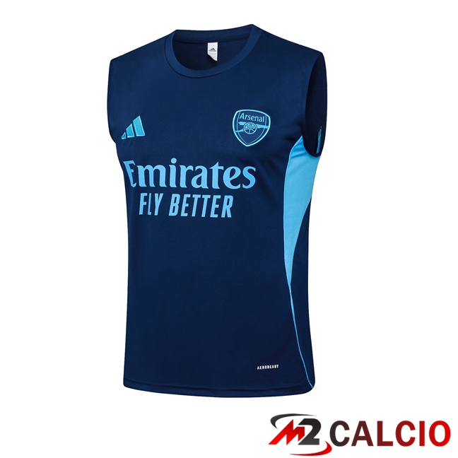 Canotta Allenamento Arsenal Blu Reale 2025/2026