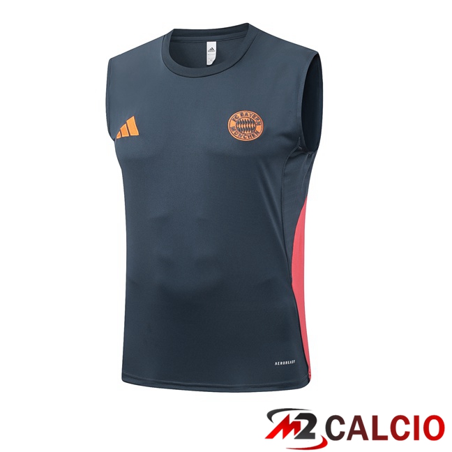 Maglie Calcio Personalizzate,Tute Calcio Squadre,Maglia Nazionale Italiana Calcio | Canotta Allenamento Bayern Monaco Grigio 2025/2026