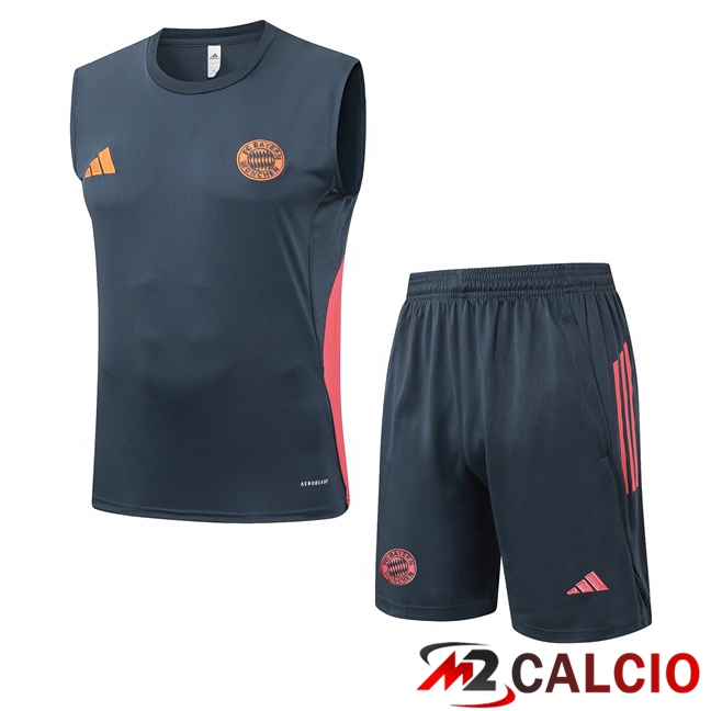 Maglie Calcio Personalizzate,Tute Calcio Squadre,Maglia Nazionale Italiana Calcio | Canotta Allenamento Bayern Monaco + Pantaloncini Grigio 2025/2026