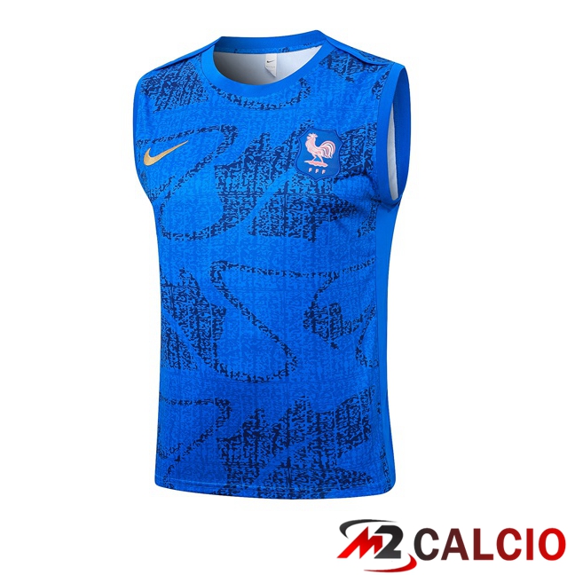 Maglie Calcio Personalizzate,Tute Calcio Squadre,Maglia Nazionale Italiana Calcio | Canotta Allenamento Francia Blu 2025/2026