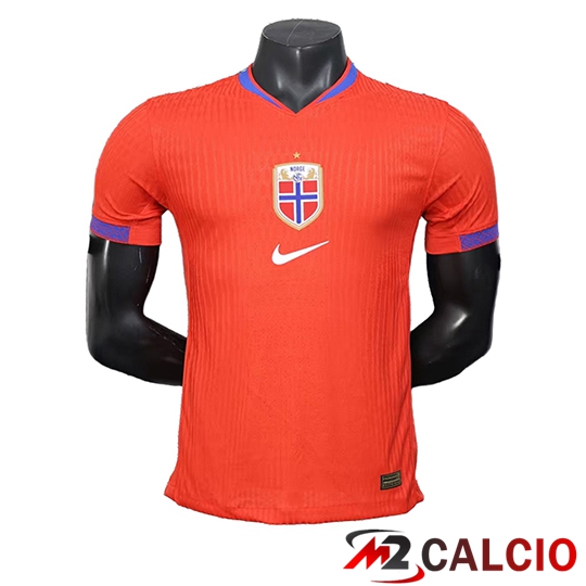 Maglie Calcio Personalizzate,Tute Calcio Squadre,Maglia Nazionale Italiana Calcio | Maglie Calcio Norvegia Prima 2025/2026
