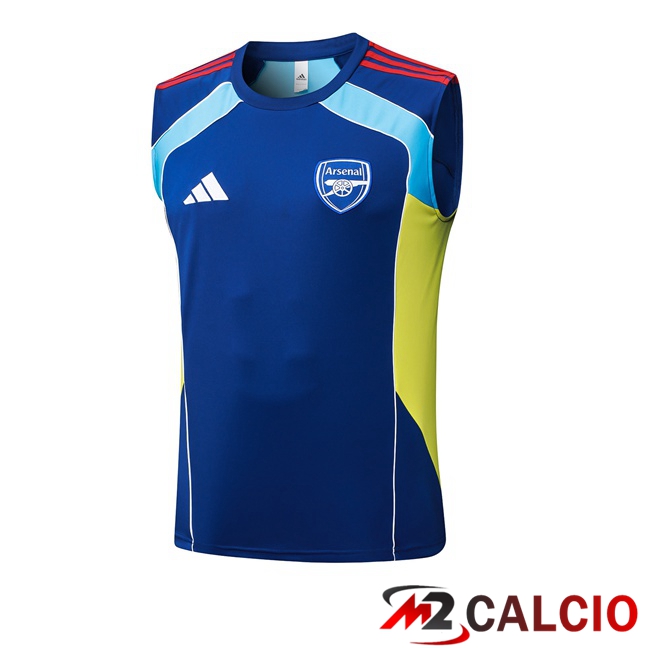 Maglie Calcio Personalizzate,Tute Calcio Squadre,Maglia Nazionale Italiana Calcio | Canotta Allenamento Arsenal Blu 2025/2026