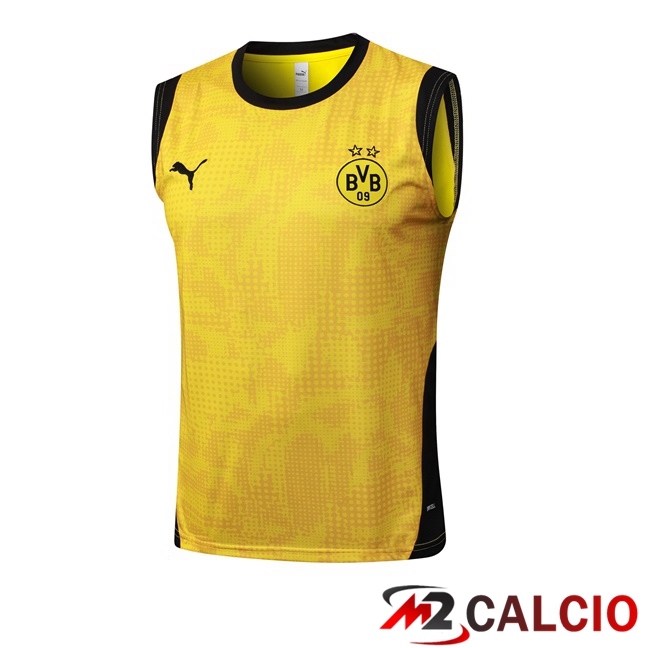 Maglie Calcio Personalizzate,Tute Calcio Squadre,Maglia Nazionale Italiana Calcio | Canotta Allenamento Dortmund BVB Giallo 2025/2026