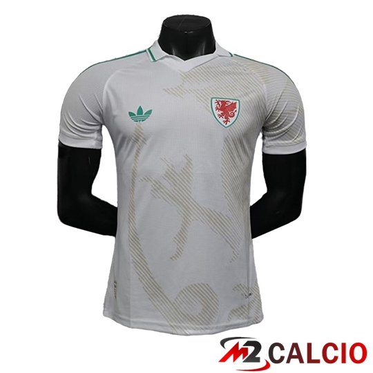 Maglie Calcio Personalizzate,Tute Calcio Squadre,Maglia Nazionale Italiana Calcio | Maglie Calcio Galles Seconda 2026/2027