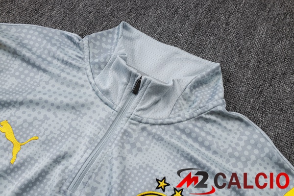 Insieme Tuta Calcio Dortmund BVB Grigio 2025/2026