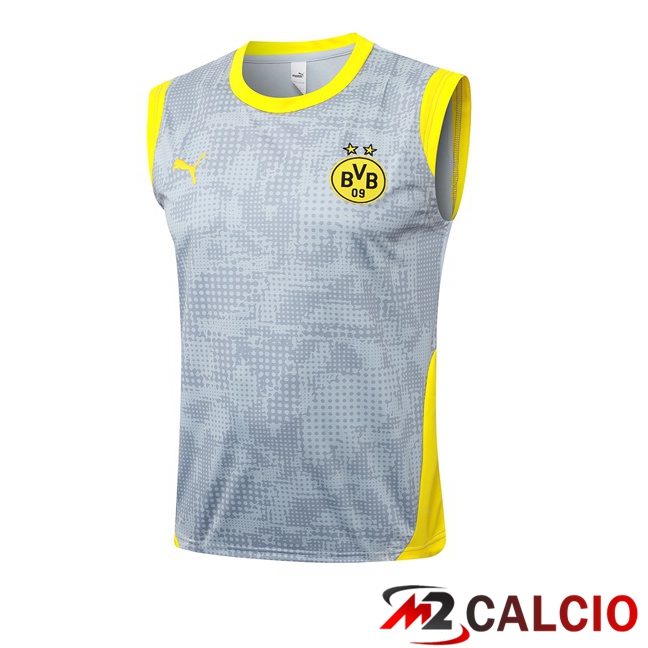 Maglie Calcio Personalizzate,Tute Calcio Squadre,Maglia Nazionale Italiana Calcio | Canotta Allenamento Dortmund BVB Grigio 2025/2026