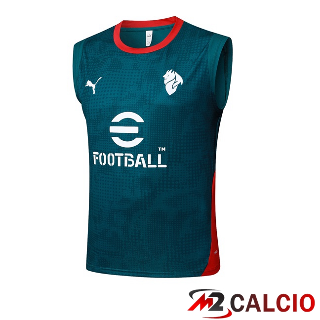 Maglie Calcio Personalizzate,Tute Calcio Squadre,Maglia Nazionale Italiana Calcio | Canotta Allenamento AC Milan Verde 2025/2026
