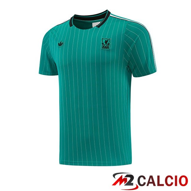 Maglie Calcio Personalizzate,Tute Calcio Squadre,Maglia Nazionale Italiana Calcio | T Shirt Allenamento FC Liverpool Verde 2026/2027