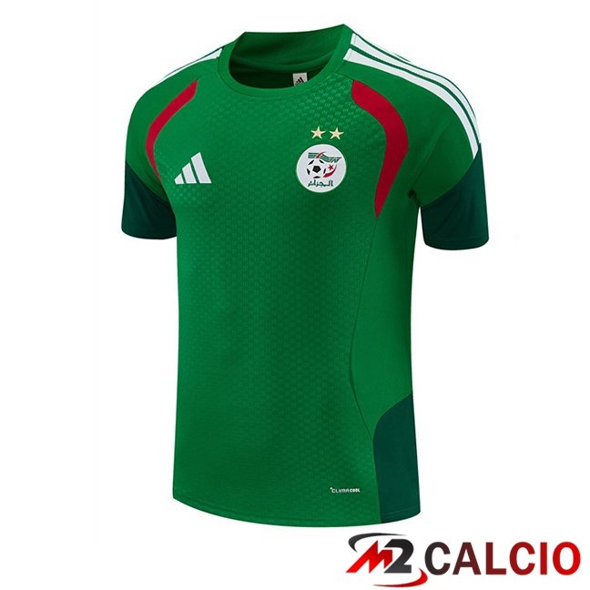Maglie Calcio Personalizzate,Tute Calcio Squadre,Maglia Nazionale Italiana Calcio | T Shirt Allenamento Algeria Verde 2026/2027