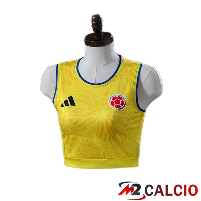 Maglie Calcio Personalizzate,Tute Calcio Squadre,Maglia Nazionale Italiana Calcio | Maglie Calcio Colombia Court Donna Prima Giallo 2026/2027