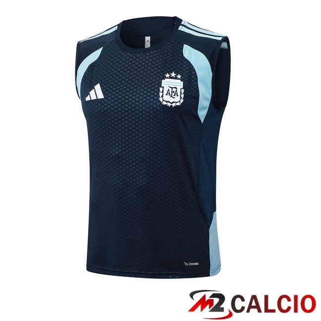 Maglie Calcio Personalizzate,Tute Calcio Squadre,Maglia Nazionale Italiana Calcio | Canotta Allenamento Argentina Blu Reale 2026/2027