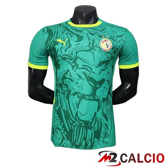 Maglie Calcio Personalizzate,Tute Calcio Squadre,Maglia Nazionale Italiana Calcio | Maglie Calcio Senegal Special Edition Verde 2026/2027