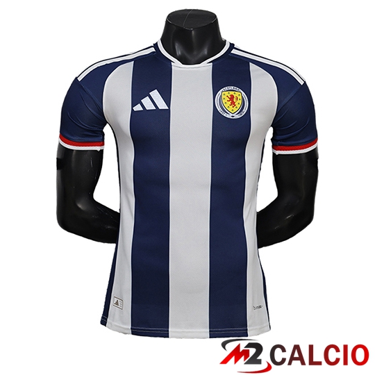 Maglie Calcio Personalizzate,Tute Calcio Squadre,Maglia Nazionale Italiana Calcio | Maglie Calcio Galles Special Edition Blu/Bianco 2026/2027
