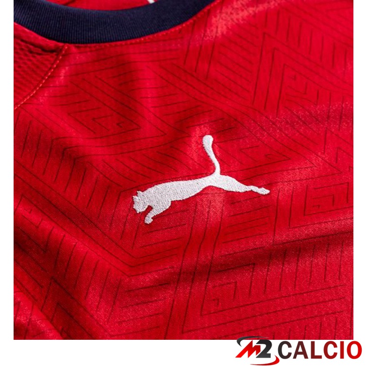 Maglia Nazionale Repubblica Ceca Prima 2020/2021